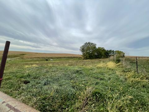 9822 Mill Rd, Mount Carroll, IL 61053 photo 68
