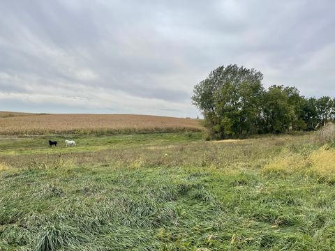 9822 Mill Rd, Mount Carroll, IL 61053 photo 69