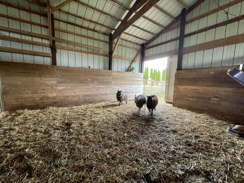 9822 Mill Rd, Mount Carroll, IL 61053 photo 54