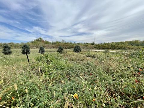 9822 Mill Rd, Mount Carroll, IL 61053 photo 64