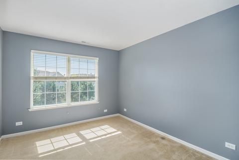 175 Willey St, Gilberts, IL 60136 photo 16