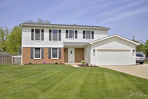 114 Springbrook Ct, Mchenry, IL 60050 photo 1