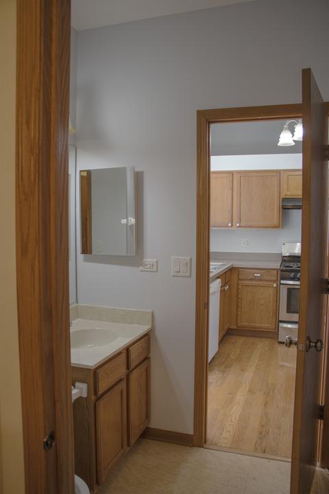 2801 Sarah Ct, Plano, IL 60545 photo 23