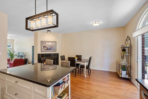 316 E 18th St, Chicago, IL 60616 photo 7