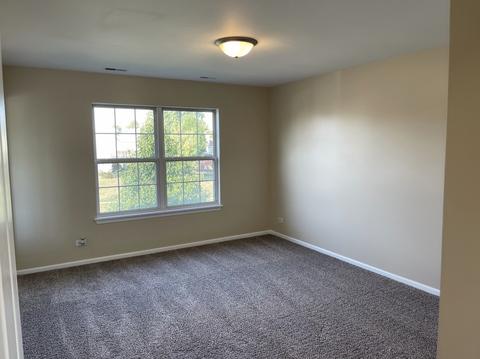 3716 Hoffman St, Plano, IL 60545 photo 13