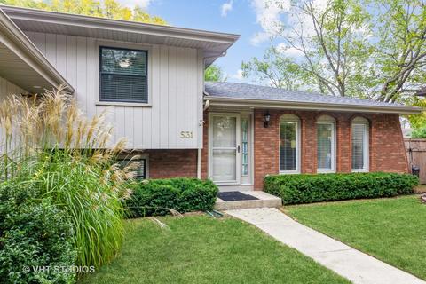 531 N Lyle Ave, Elgin, IL 60123 photo 3