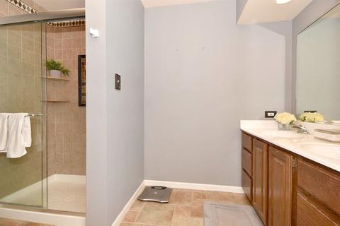 338 E May St, Elmhurst, IL 60126 photo 25