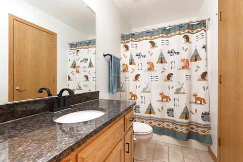 26031 S Ruby St, Monee, IL 60449 photo 12