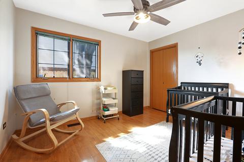 26031 S Ruby St, Monee, IL 60449 photo 11