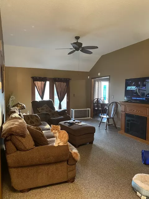 130 Via Savoy, Mark, IL 61340 photo 11