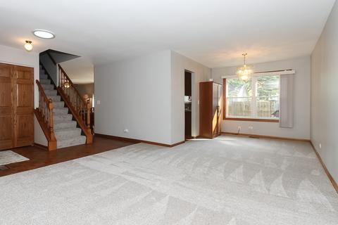 428 E Chippendale Dr, Bartlett, IL 60103 photo 3