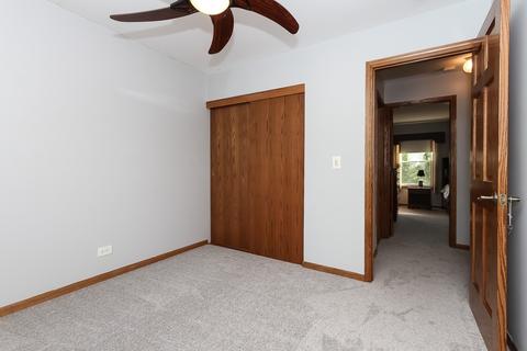 428 E Chippendale Dr, Bartlett, IL 60103 photo 20