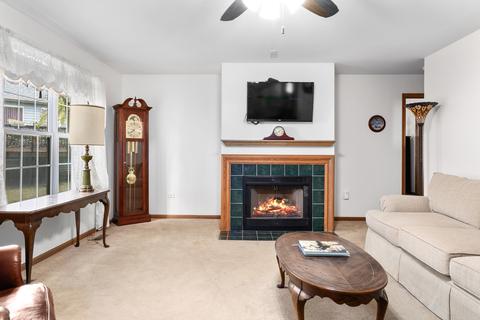 13331 Red Cedar Ln, Plainfield, IL 60544 photo 5