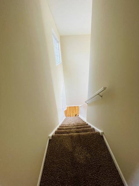 1165 Longford Rd, Bartlett, IL 60103 photo 19