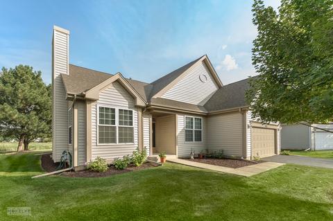 2983 Sawgrass Dr, Aurora, IL 60502 photo 3