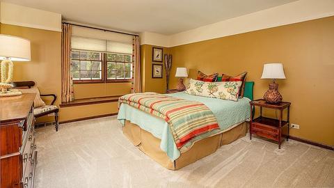 799 E Gartner Rd, Naperville, IL 60540 photo 28
