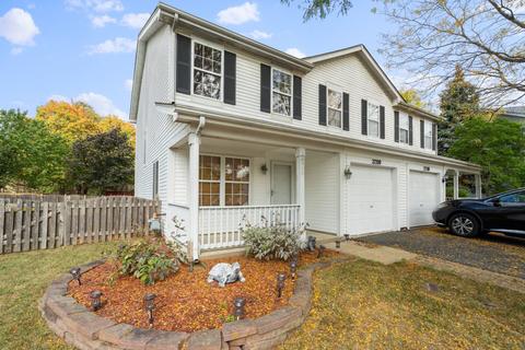 22320 W Niagara Ct, Plainfield, IL 60544 photo 1