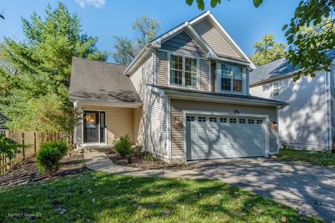 10403 Wilmette Ave, Algonquin, IL 60102 photo 20