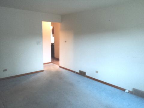 5316 S Hunt Ave, Summit, IL 60501 photo 14