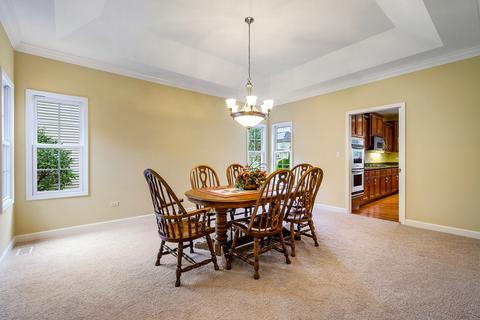 12943 Skyline Dr, Plainfield, IL 60585 photo 12