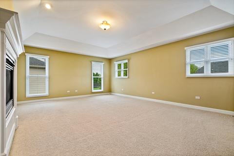 12943 Skyline Dr, Plainfield, IL 60585 photo 26