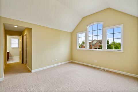 12943 Skyline Dr, Plainfield, IL 60585 photo 31