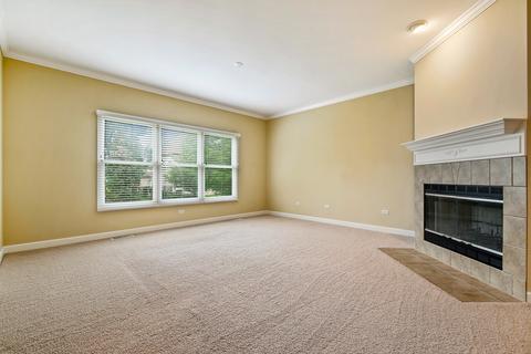 12943 Skyline Dr, Plainfield, IL 60585 photo 19