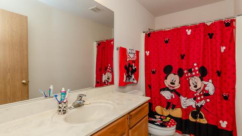 3229 Holden Cir, Matteson, IL 60443 photo 29