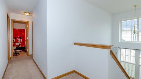 3229 Holden Cir, Matteson, IL 60443 photo 21