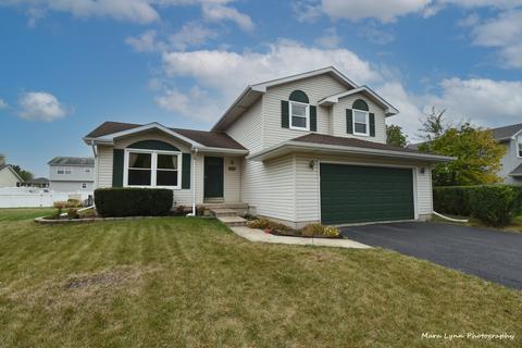 2813 Ruth Fitzgerald Dr, Plainfield, IL 60544 photo 1