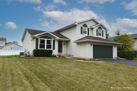 2813 Ruth Fitzgerald Dr, Plainfield, IL 60544 photo 4
