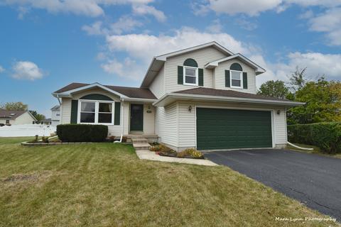 2813 Ruth Fitzgerald Dr, Plainfield, IL 60544 photo 3