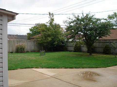 6953 W Olympic Dr, Bridgeview, IL 60455 photo 9