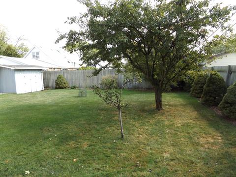 6953 W Olympic Dr, Bridgeview, IL 60455 photo 8