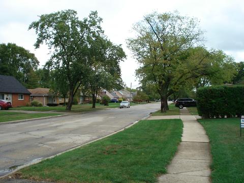 6953 W Olympic Dr, Bridgeview, IL 60455 photo 33