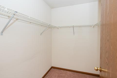21045 W Hazelnut Ln, Plainfield, IL 60544 photo 17