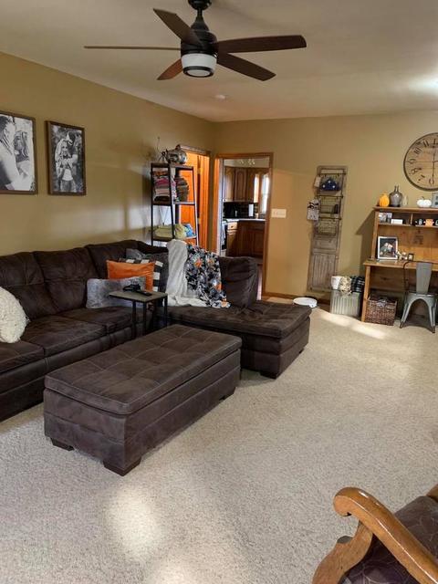 410 Elm St, Cedar Point, IL 61316 photo 4