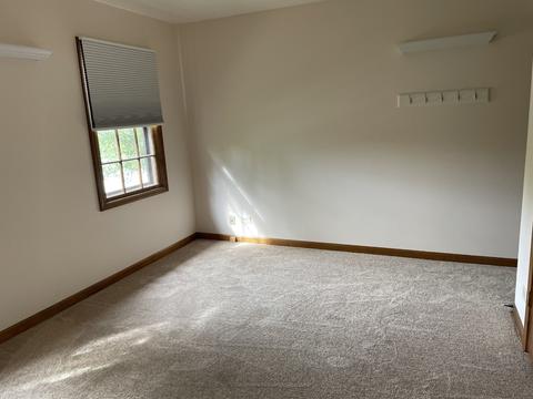 1225 E Gartner Rd, Naperville, IL 60540 photo 10