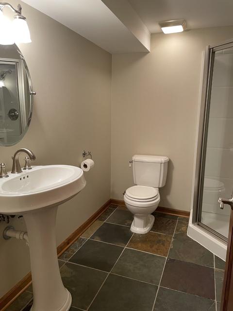 1225 E Gartner Rd, Naperville, IL 60540 photo 17