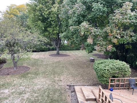 1225 E Gartner Rd, Naperville, IL 60540 photo 18