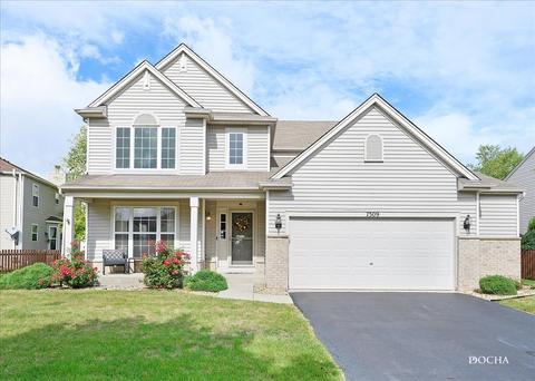 7509 Westbrook Dr, Plainfield, IL 60586 photo 1
