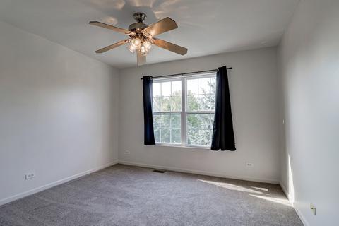 28732 N Pineview Blvd, Lakemoor, IL 60051 photo 11