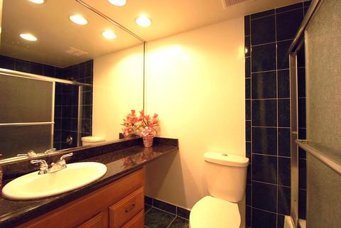 4604 Kings Walk Dr #2A, Rolling Meadows, IL 60008 photo 16