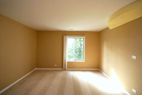 4604 Kings Walk Dr #2A, Rolling Meadows, IL 60008 photo 13