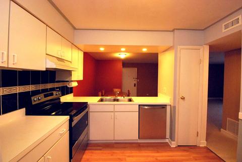 4604 Kings Walk Dr #2A, Rolling Meadows, IL 60008 photo 11