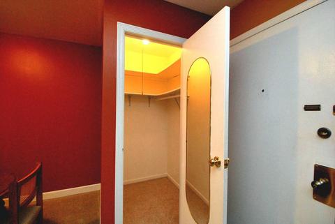 4604 Kings Walk Dr #2A, Rolling Meadows, IL 60008 photo 22