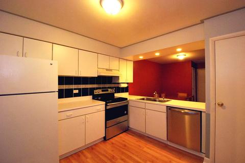 4604 Kings Walk Dr #2A, Rolling Meadows, IL 60008 photo 12