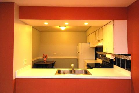 4604 Kings Walk Dr #2A, Rolling Meadows, IL 60008 photo 8
