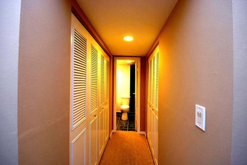 4604 Kings Walk Dr #2A, Rolling Meadows, IL 60008 photo 15