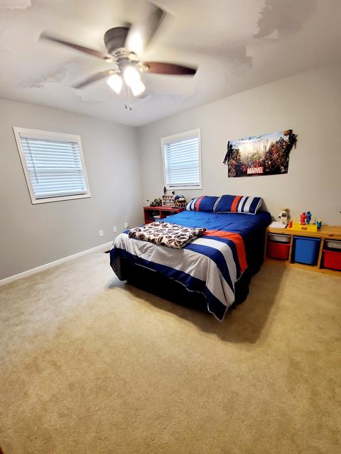 560 E Third Ave, Clifton, IL 60927 photo 33